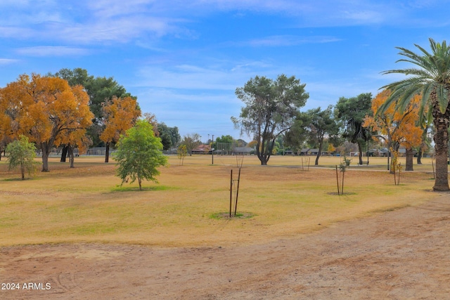 surrounding community featuring a yard