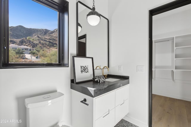 bathroom featuring a mountain view, hardwood / wood-style flooring, vanity, and toilet