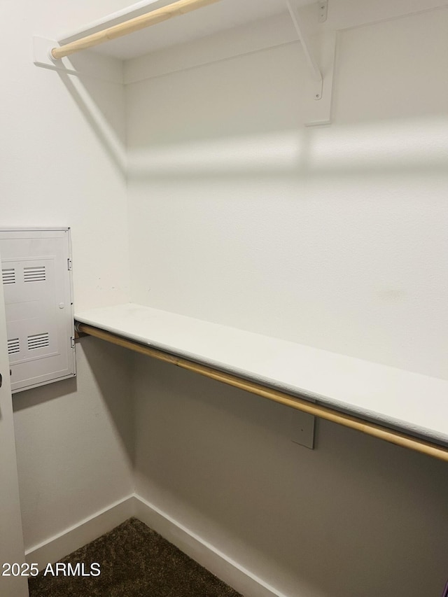 2511 W Queen Creek Rd Unit 378, Chandler, AZ 85248 - view of walk in closet