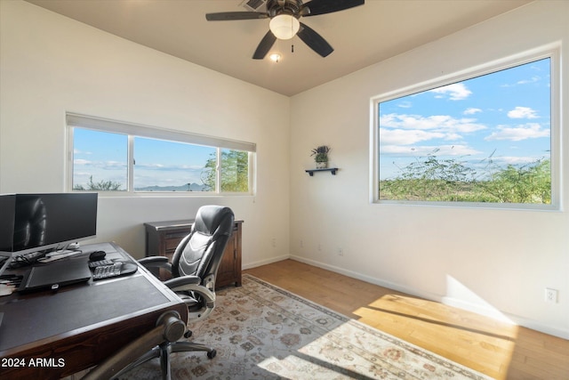 office area featuring wood-type flooring and ceiling fan