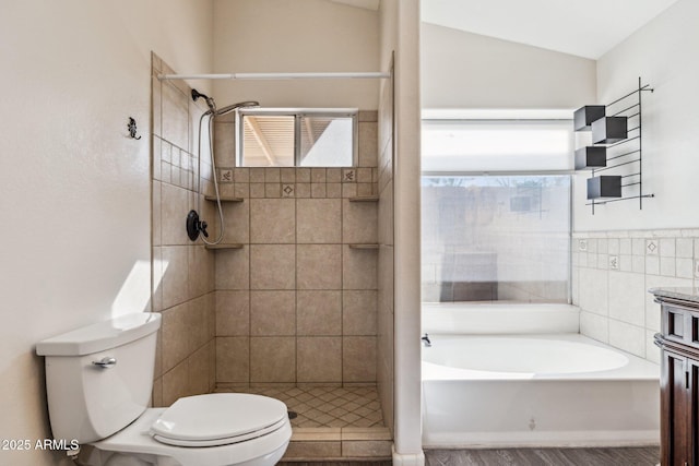 full bath with toilet, a shower stall, and a wealth of natural light