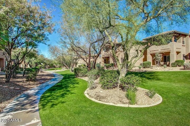 11500 E Cochise Dr Unit 1015, Scottsdale, AZ 85259 - view of yard