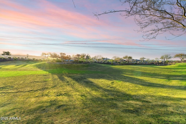 view of yard at dusk