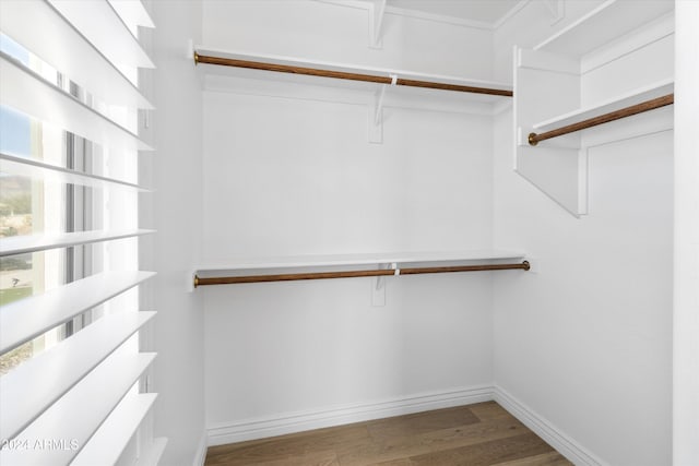 walk in closet featuring hardwood / wood-style floors