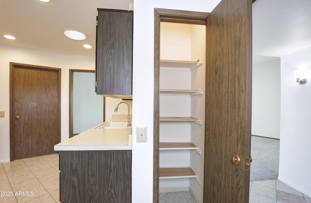 kitchen with light colored carpet, dark brown cabinets, and sink