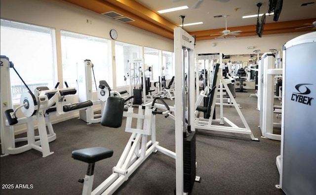 23756 S Vacation Way, Sun Lakes, AZ 85248 - exercise room with a ceiling fan and healthy amount of natural light