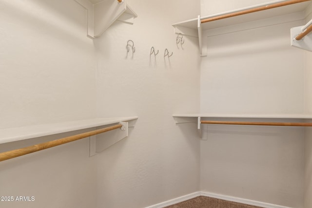 spacious closet featuring carpet floors