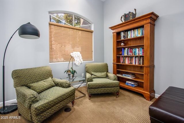 sitting room featuring carpet flooring