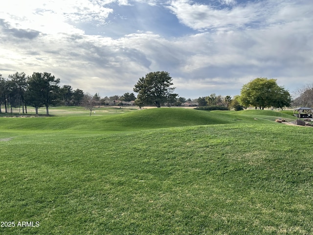 view of home's community with a yard