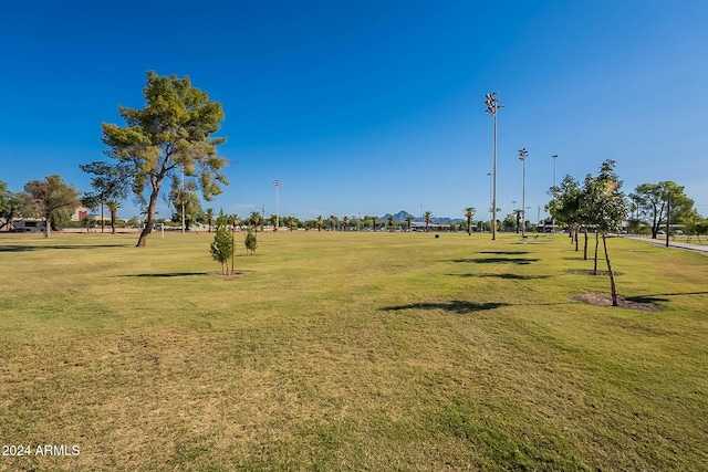 view of home's community featuring a yard