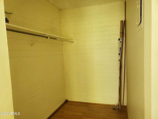 spacious closet with dark hardwood / wood-style flooring