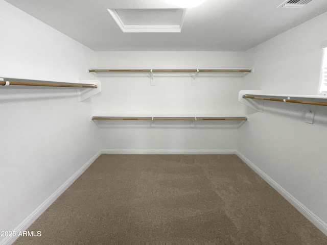 walk in closet featuring carpet floors