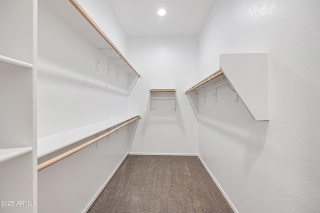 898 E Ladbroke Way, Gilbert, AZ 85297 - walk in closet with carpet