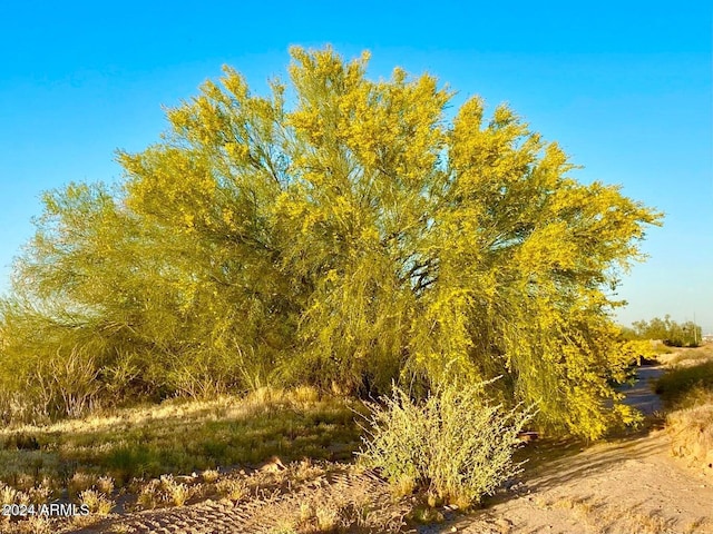 0 W Century Rd Lot B 1.99, Acres, Unit Maricopa, AZ 85139