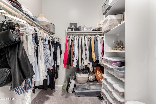 spacious closet with carpet floors