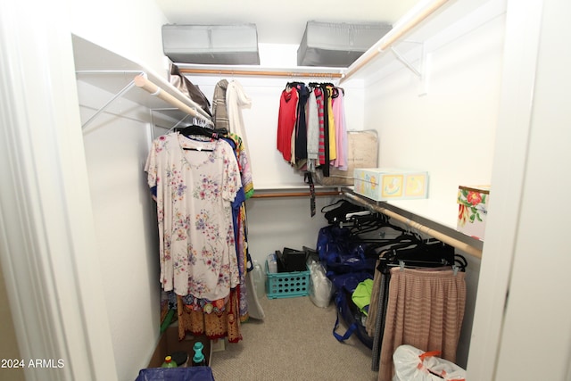 walk in closet featuring carpet