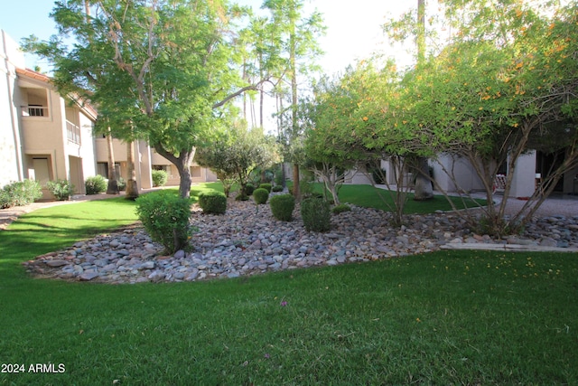 9450 N 95th St Unit 219, Scottsdale, AZ 85258 - view of community with a lawn