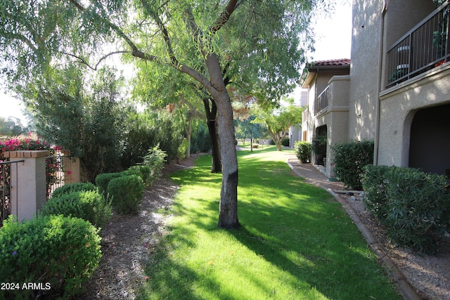9450 N 95th St Unit 219, Scottsdale, AZ 85258 - view of green lawn