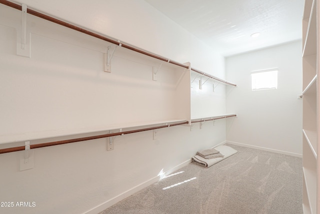 spacious closet with carpet