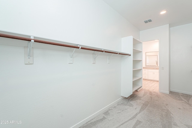 spacious closet with light carpet