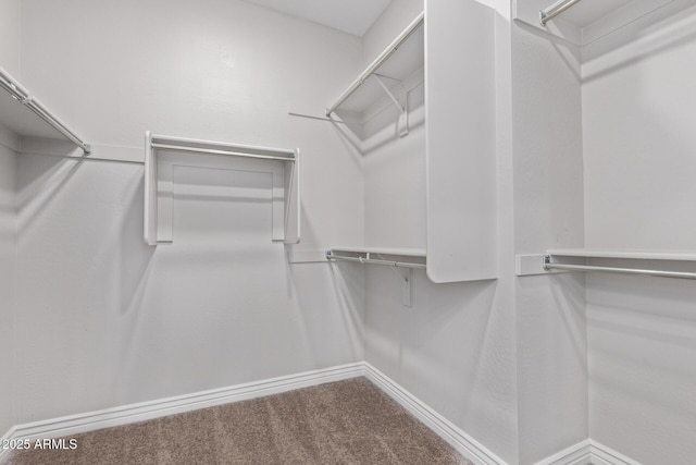 walk in closet featuring carpet