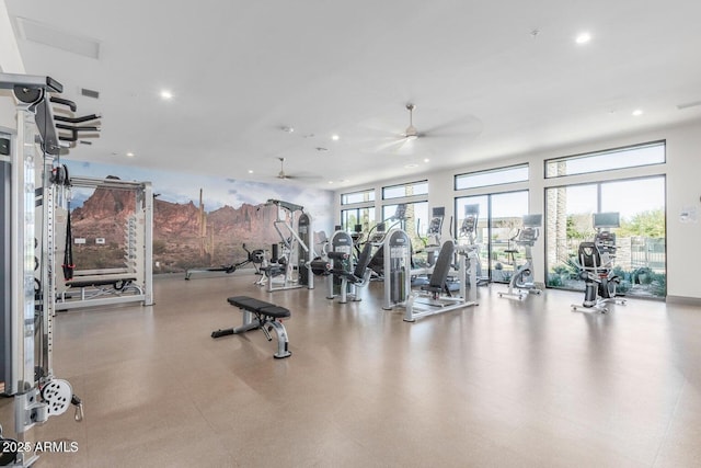 workout area featuring ceiling fan and a healthy amount of sunlight