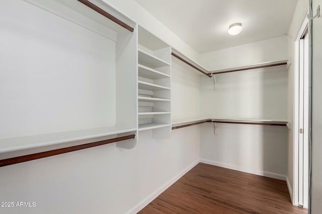 walk in closet featuring dark wood-type flooring