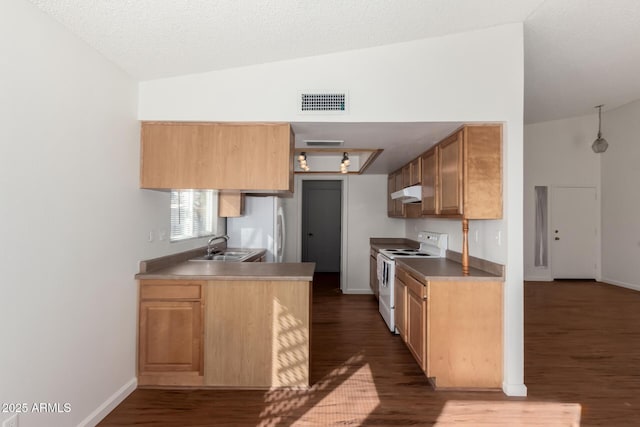 kitchen featuring white appliances, lofted ceiling, and dark hardwood / wood-style flooring