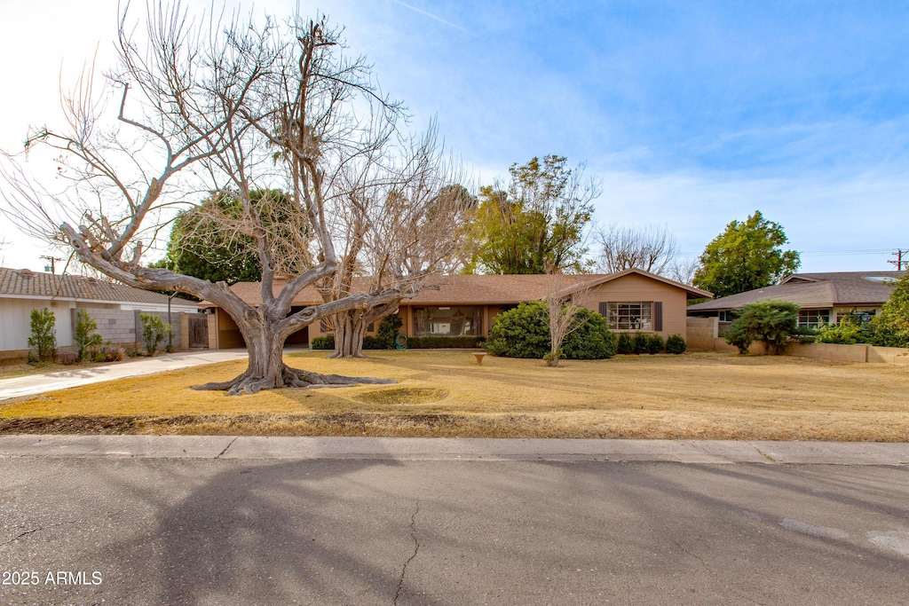 ranch-style house featuring a front lawn