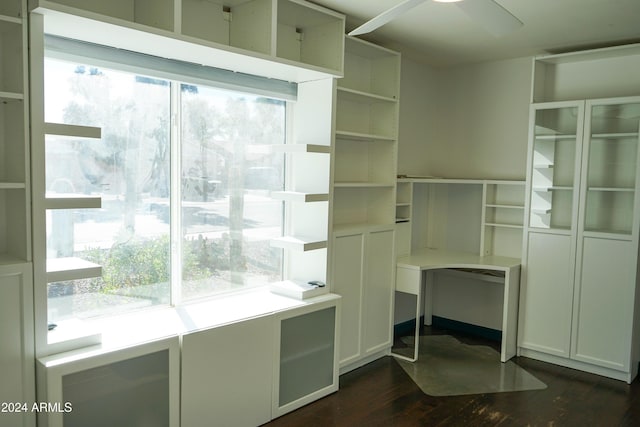 interior space featuring a wealth of natural light and dark hardwood / wood-style flooring