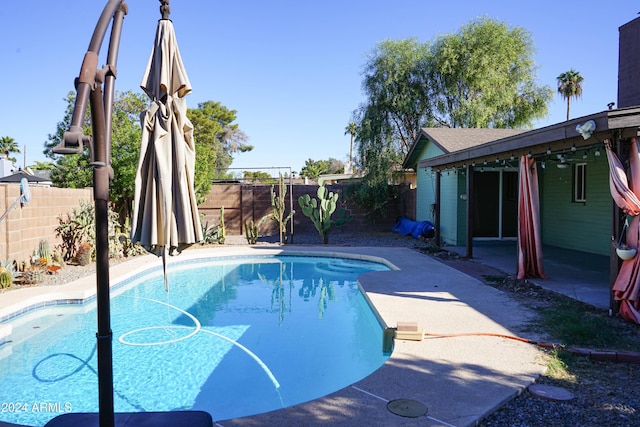 view of pool featuring a patio