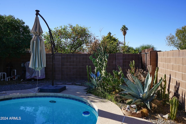 view of swimming pool