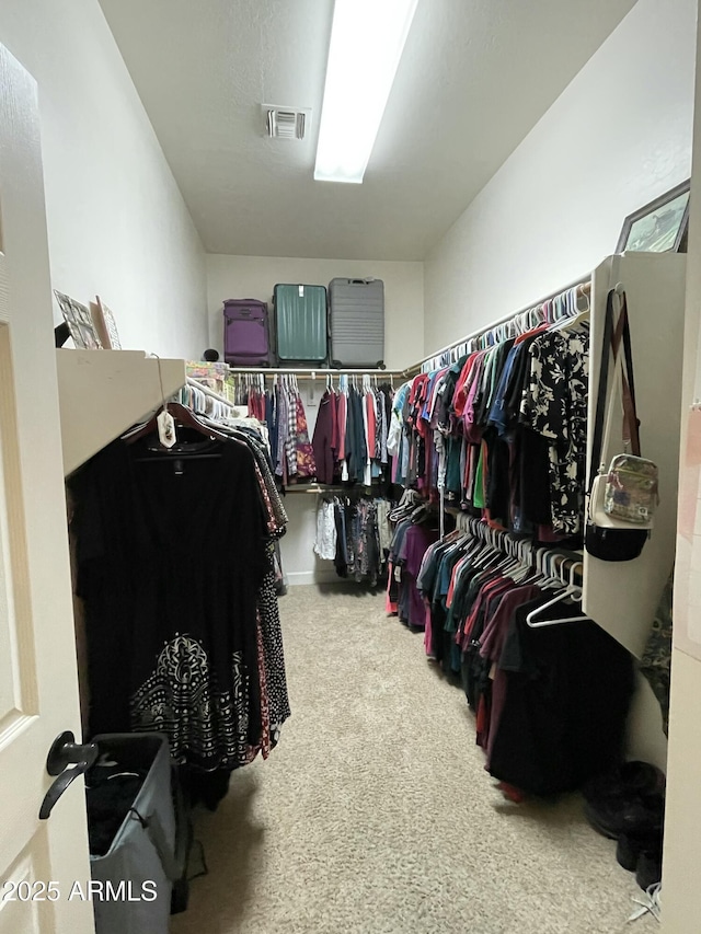 spacious closet featuring carpet flooring