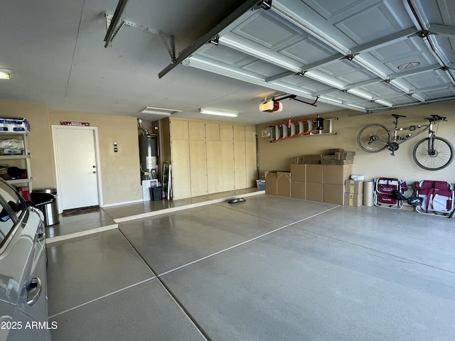 garage featuring a garage door opener and gas water heater