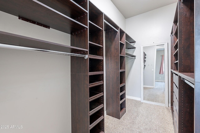 809 W Coles Rd, Phoenix, AZ 85041 - spacious closet with carpet