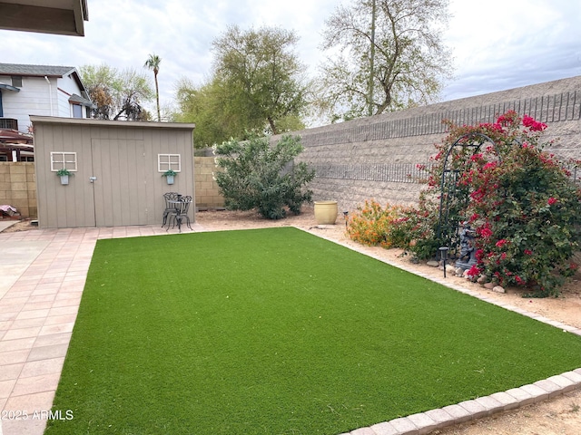 view of yard with a patio, a shed, an outdoor structure, and a fenced backyard