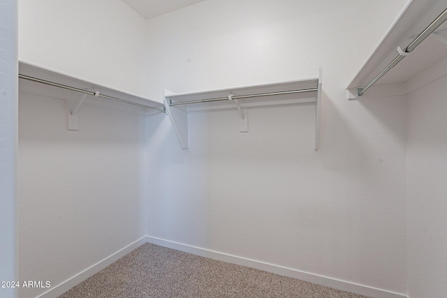 walk in closet featuring carpet