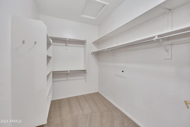 spacious closet with light carpet