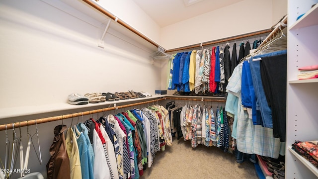 spacious closet with carpet flooring