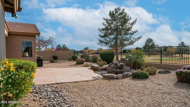 view of yard with a patio area