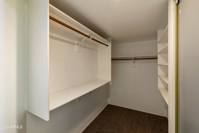 spacious closet with carpet