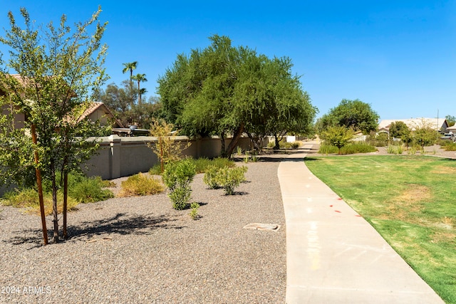 view of property's community with a yard