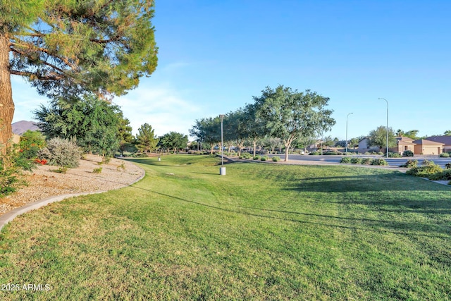 4493 E Desert Sands Dr, Chandler, AZ 85249 - view of green lawn
