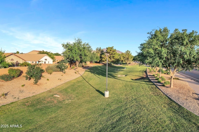 4493 E Desert Sands Dr, Chandler, AZ 85249 - view of green lawn