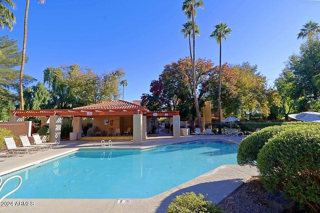 view of swimming pool with a patio