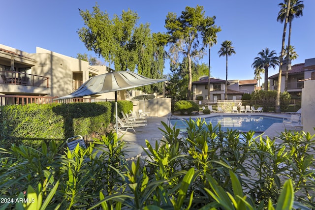 view of pool with a patio area