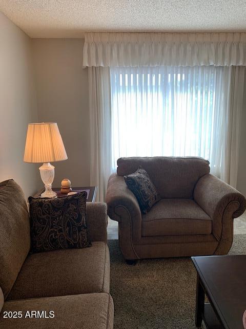 living room with a textured ceiling