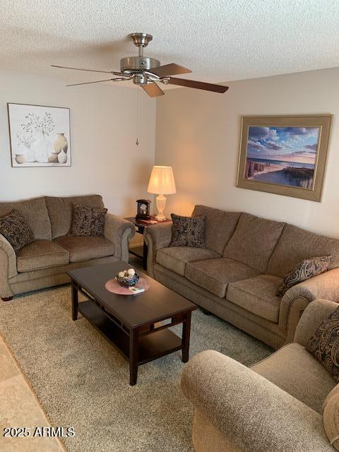 living room featuring a textured ceiling