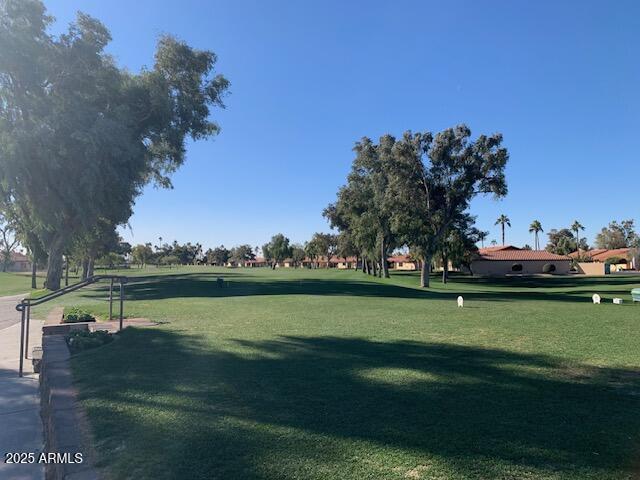 view of community with a yard