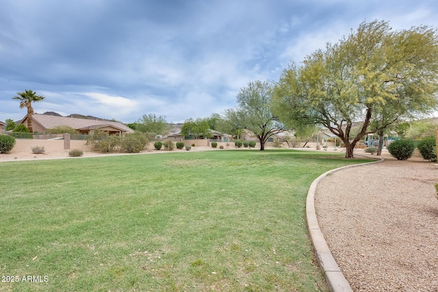 4041 W Hackamore Dr, Phoenix, AZ 85083 - view of yard